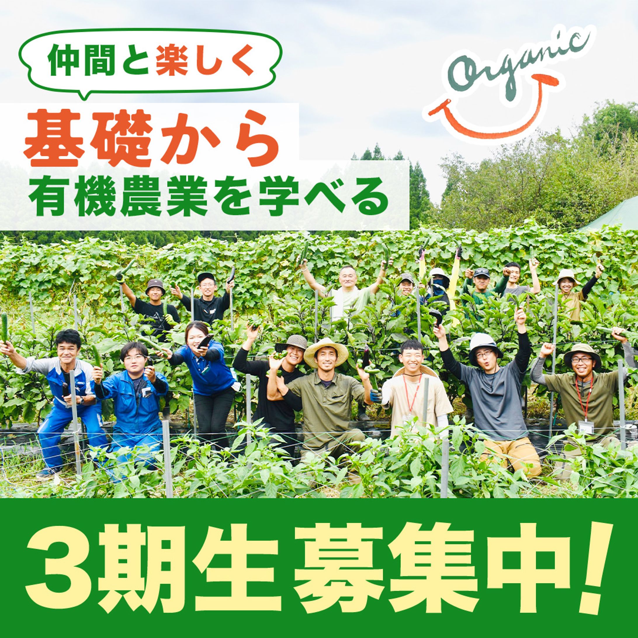 オーガニック_web広告バナー-1