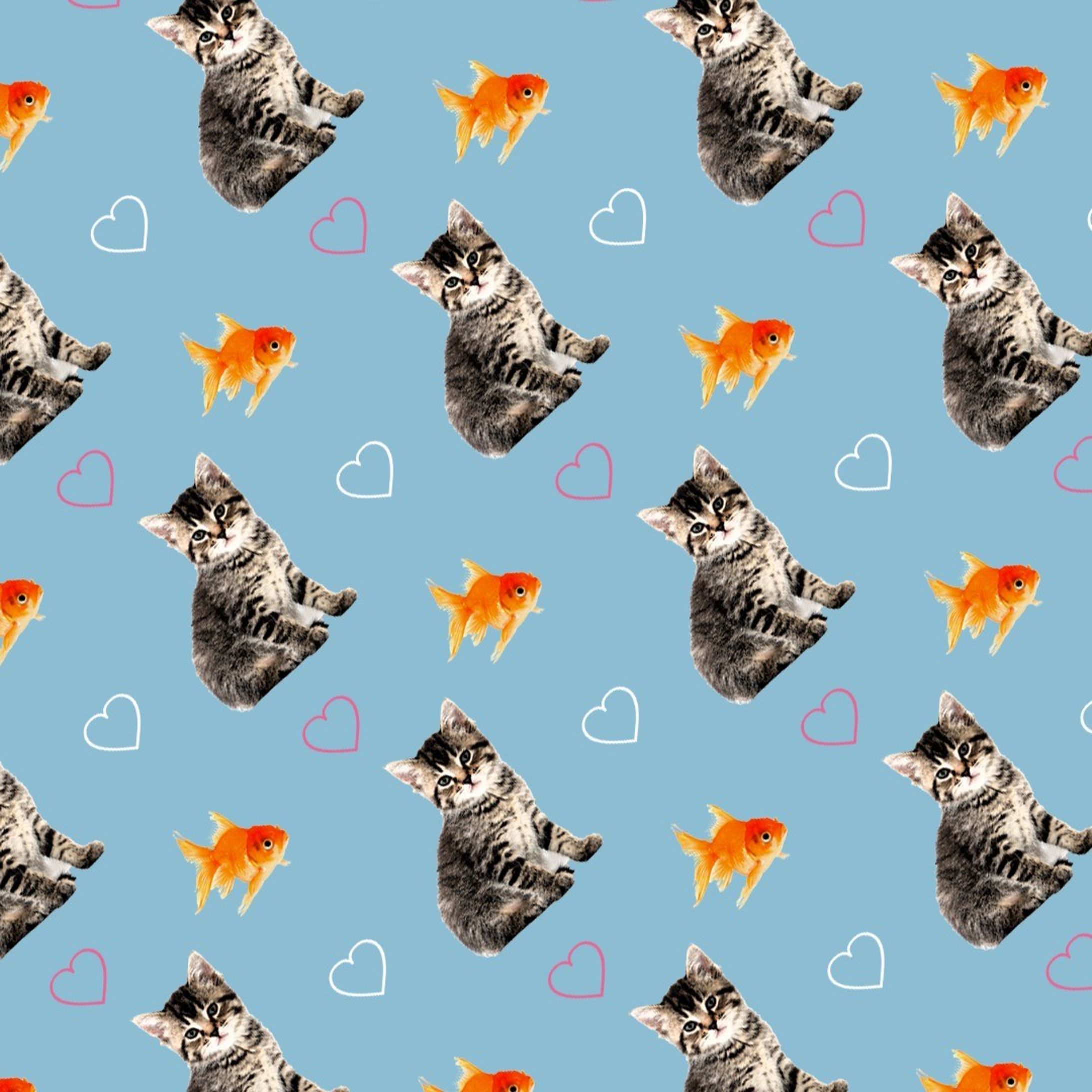 バターン画像（猫と金魚）-1