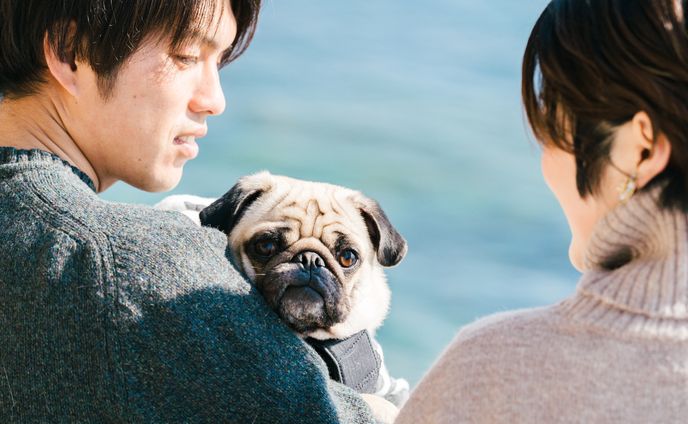 ペット撮影 記念日