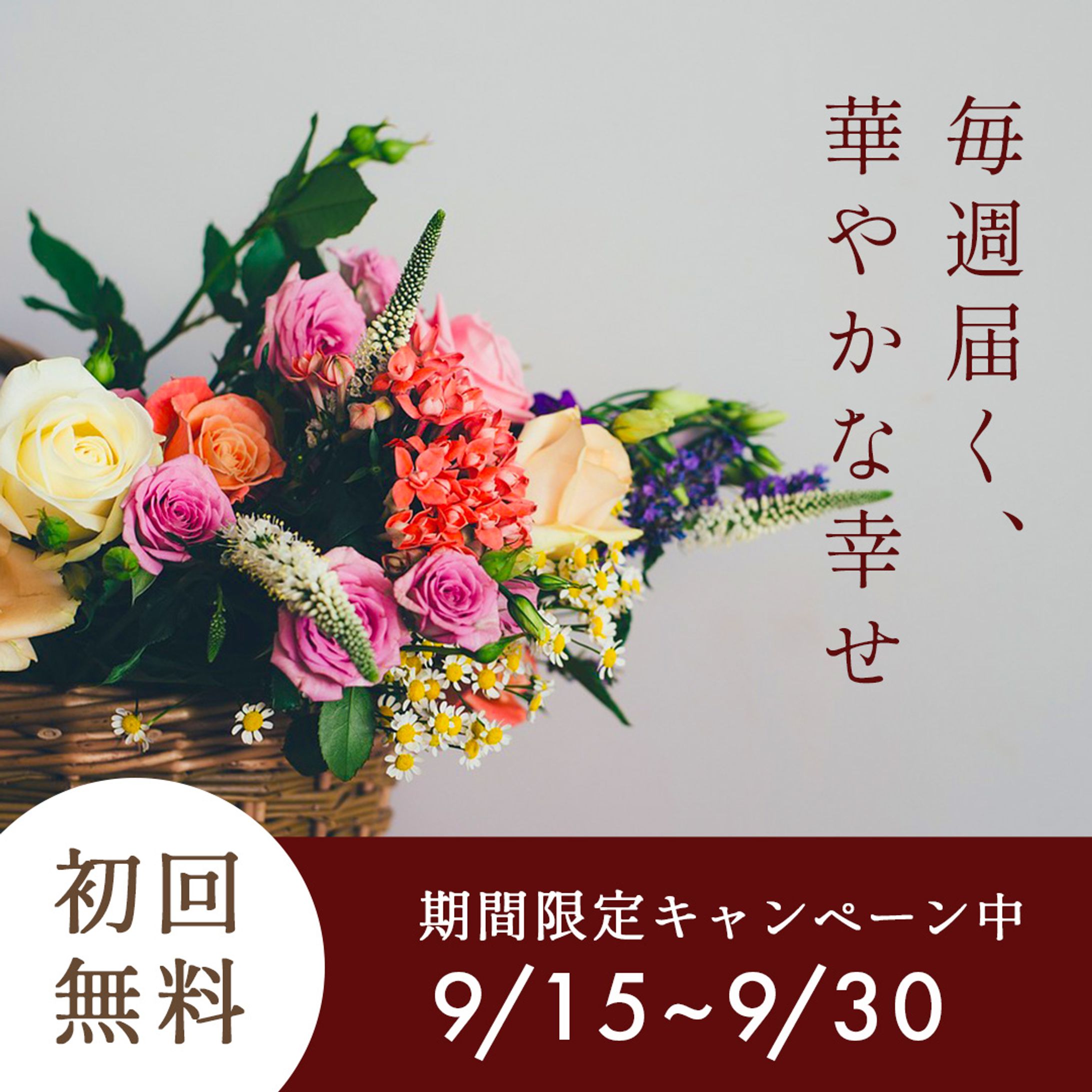 お花定期便の広告バナー-1