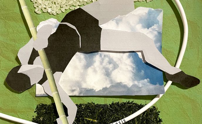 EP Cover and Visualizer for TOMOKO IDA's EP