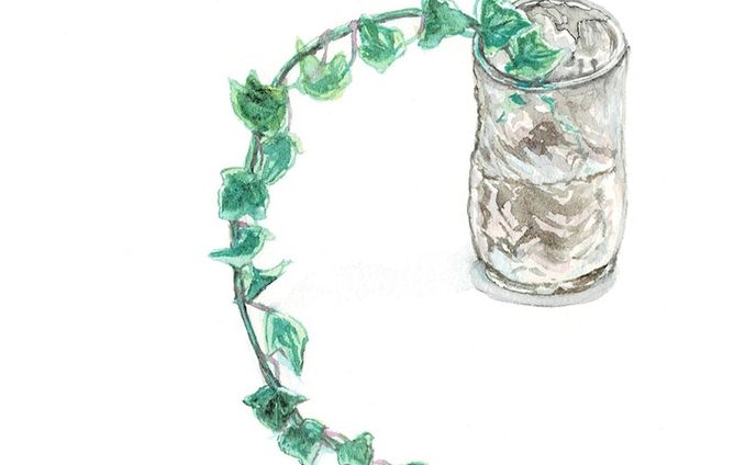 #10　ツタ

#はせ子のグリーンスケッチ
#水彩画 #イラストレーション #イラストレーター #植物 #植物のある暮らし