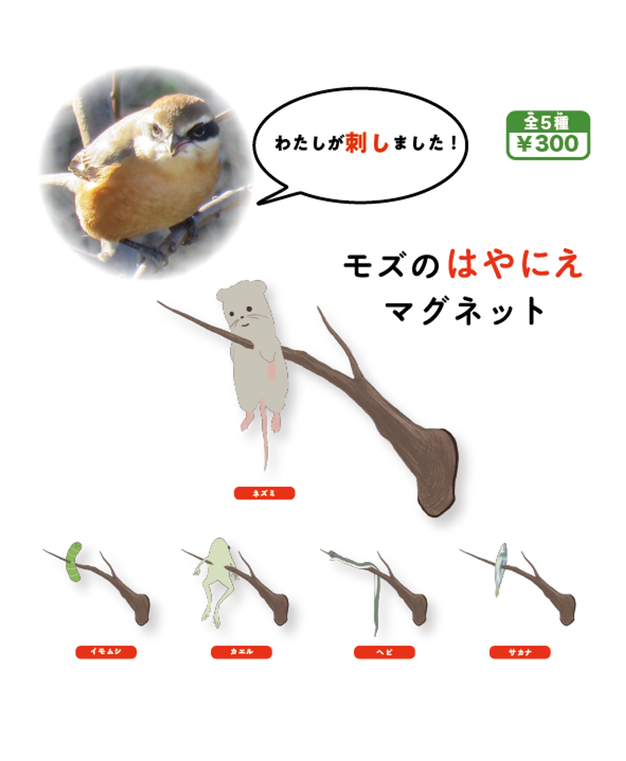 モズのはやにえマグネットカプセルトイ-1