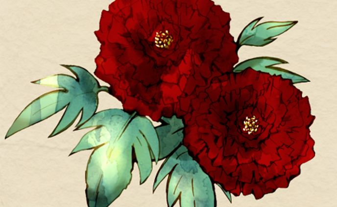 3d model、花