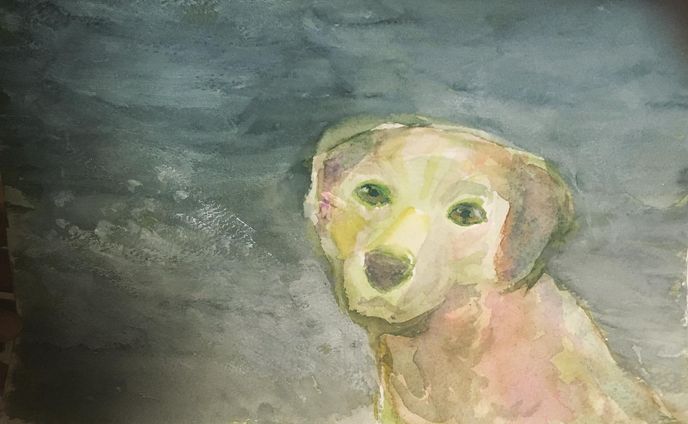 暮らし、color pencil