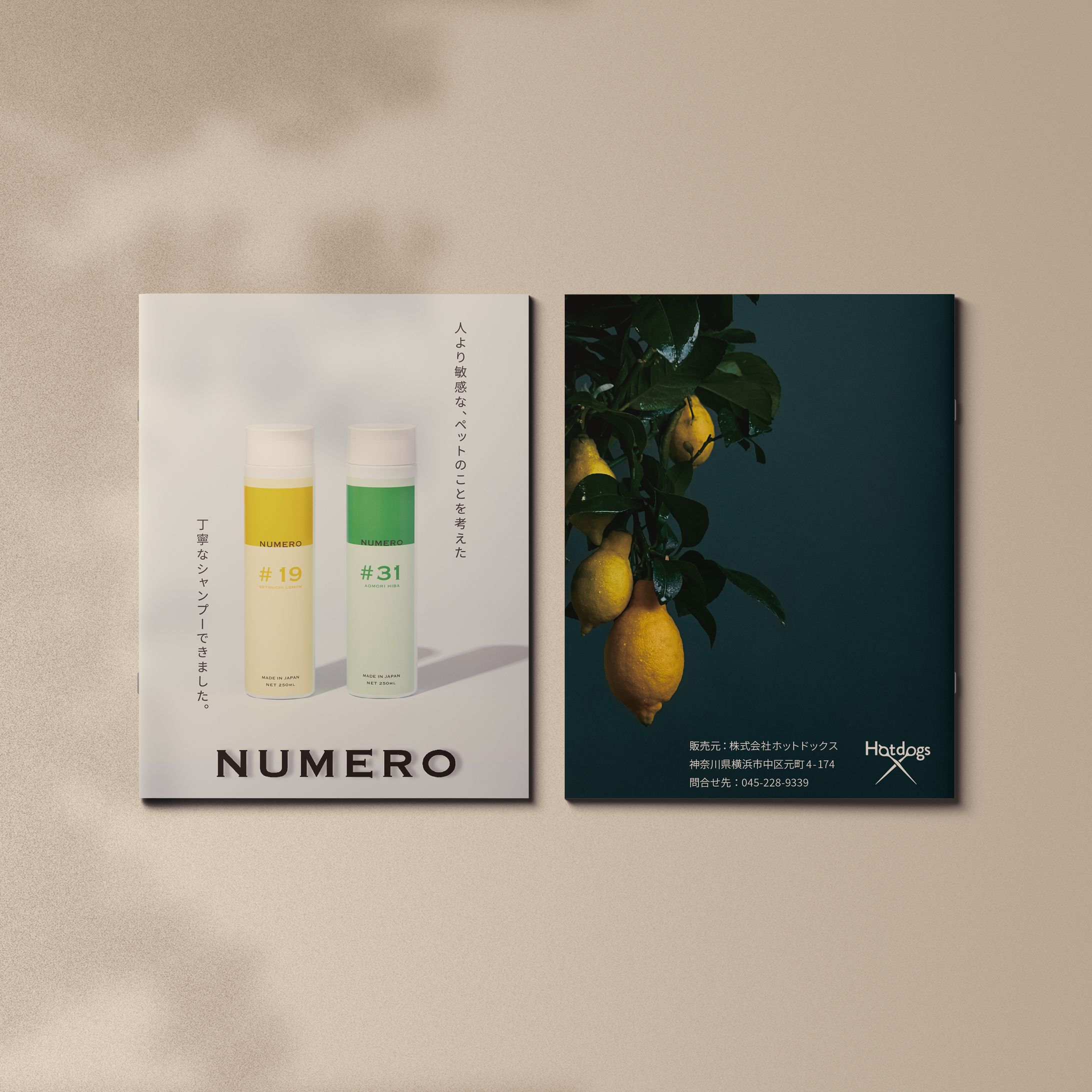 NUMERO ブランディング-1