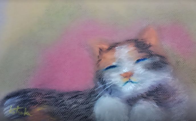 猫、エンコード