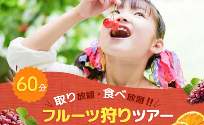 バナー：フルーツ狩り