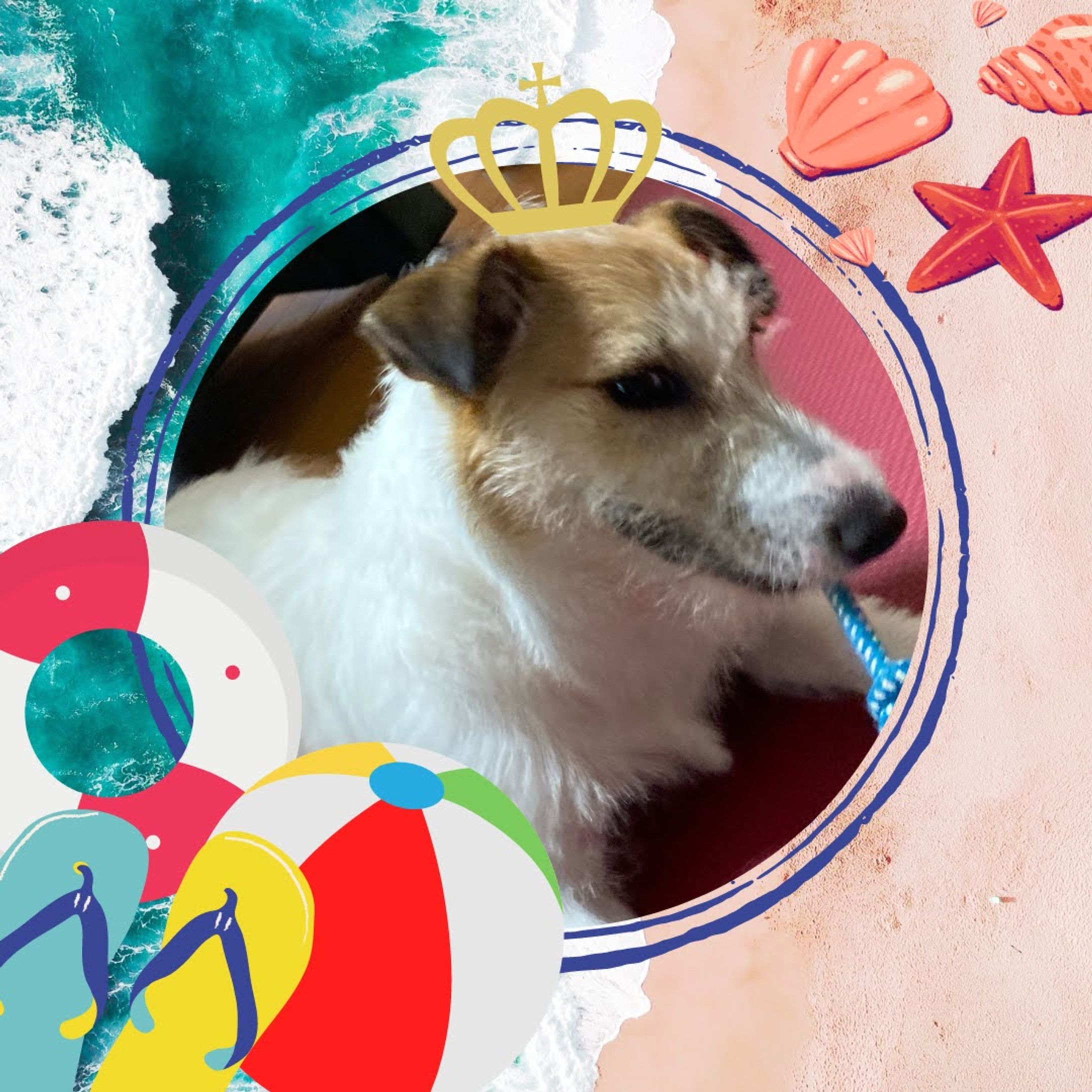 Canva/作った写真フレーム（4）-1
