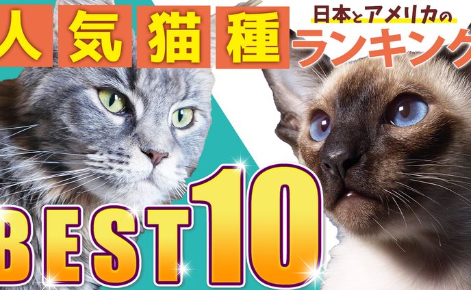 テスト制作です