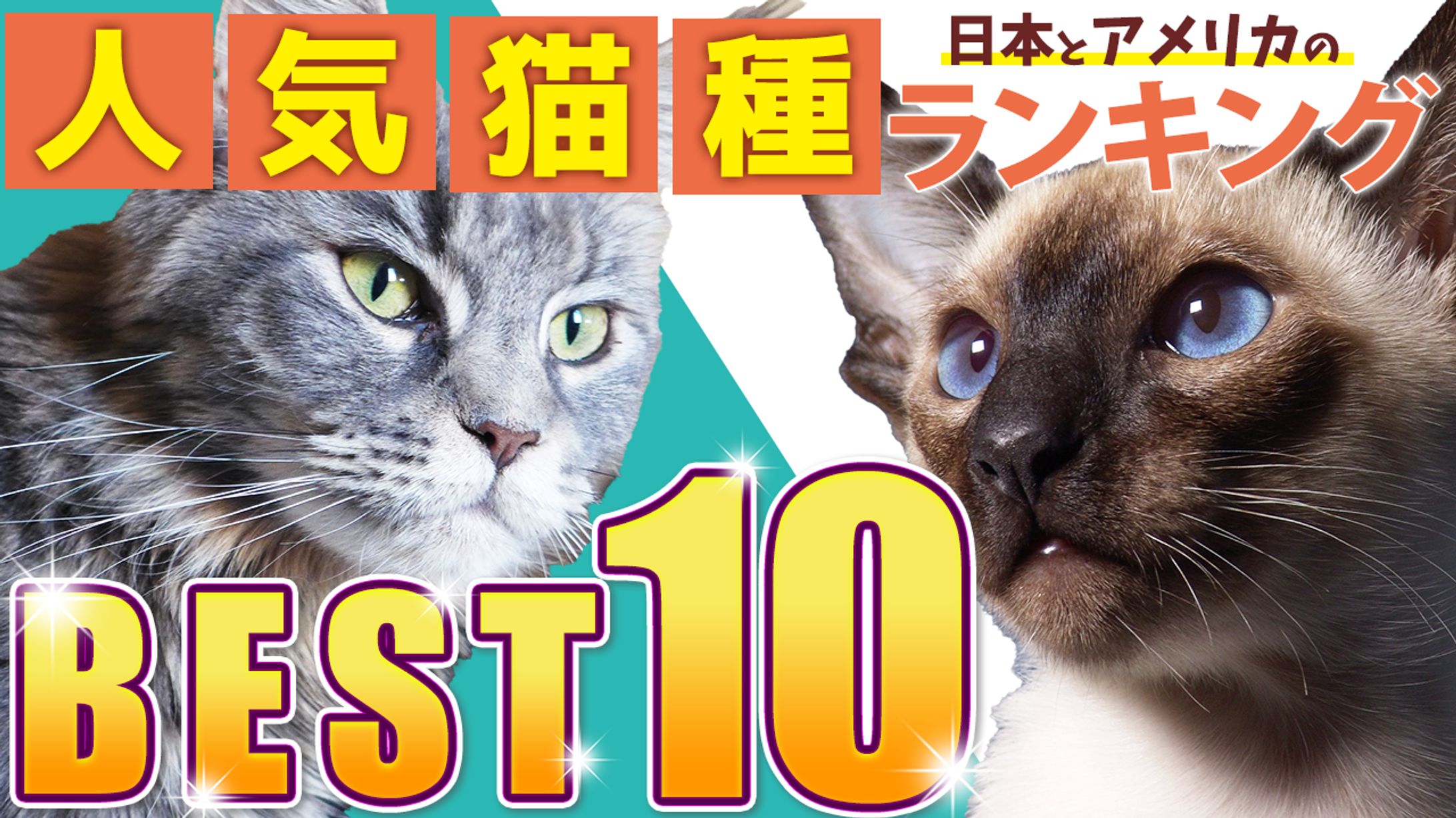 テスト制作です-1