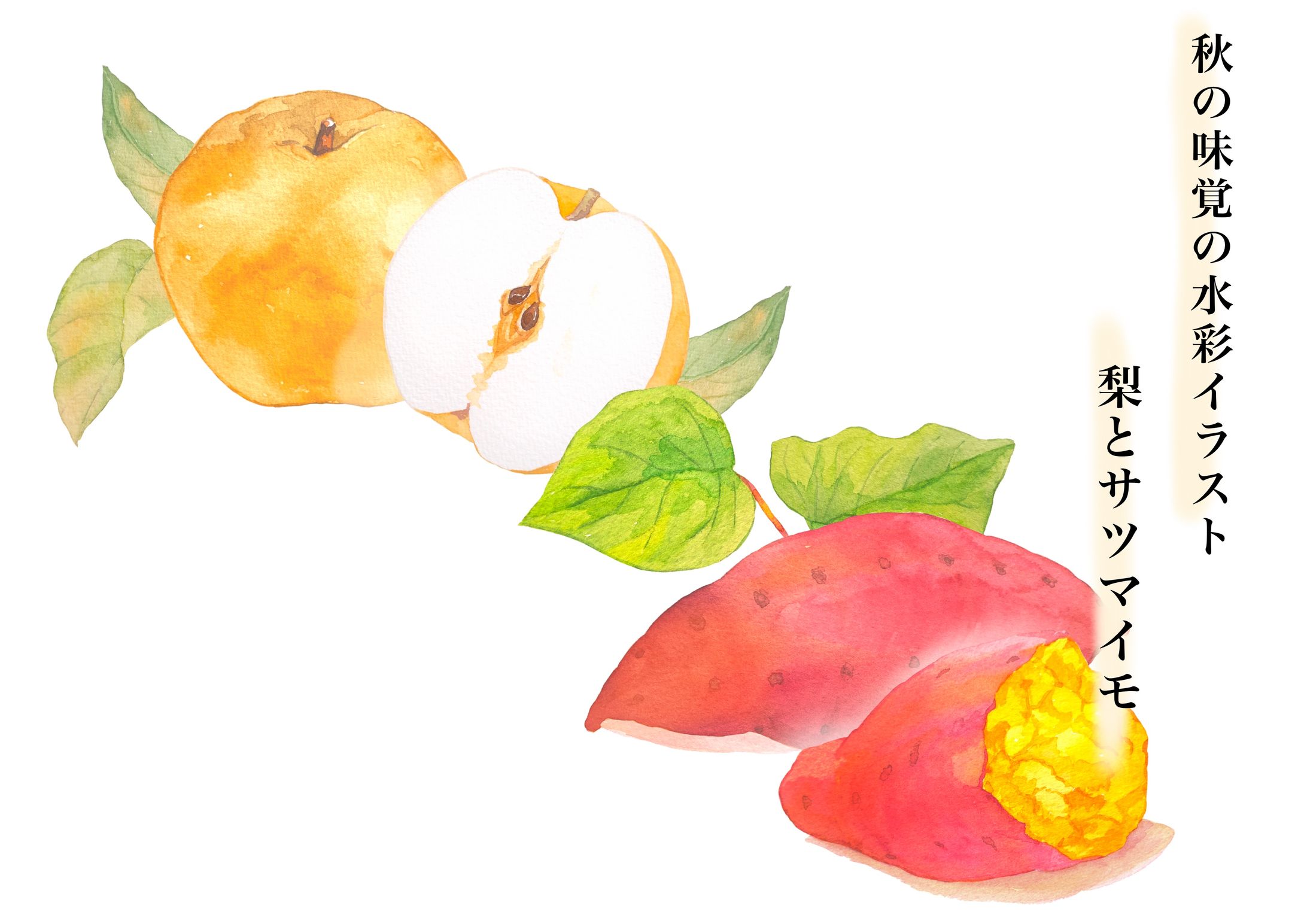 秋の味覚の水彩イラスト-1