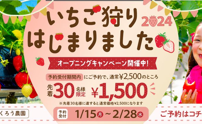 【自主制作】　いちご狩りキャンペーンバナー