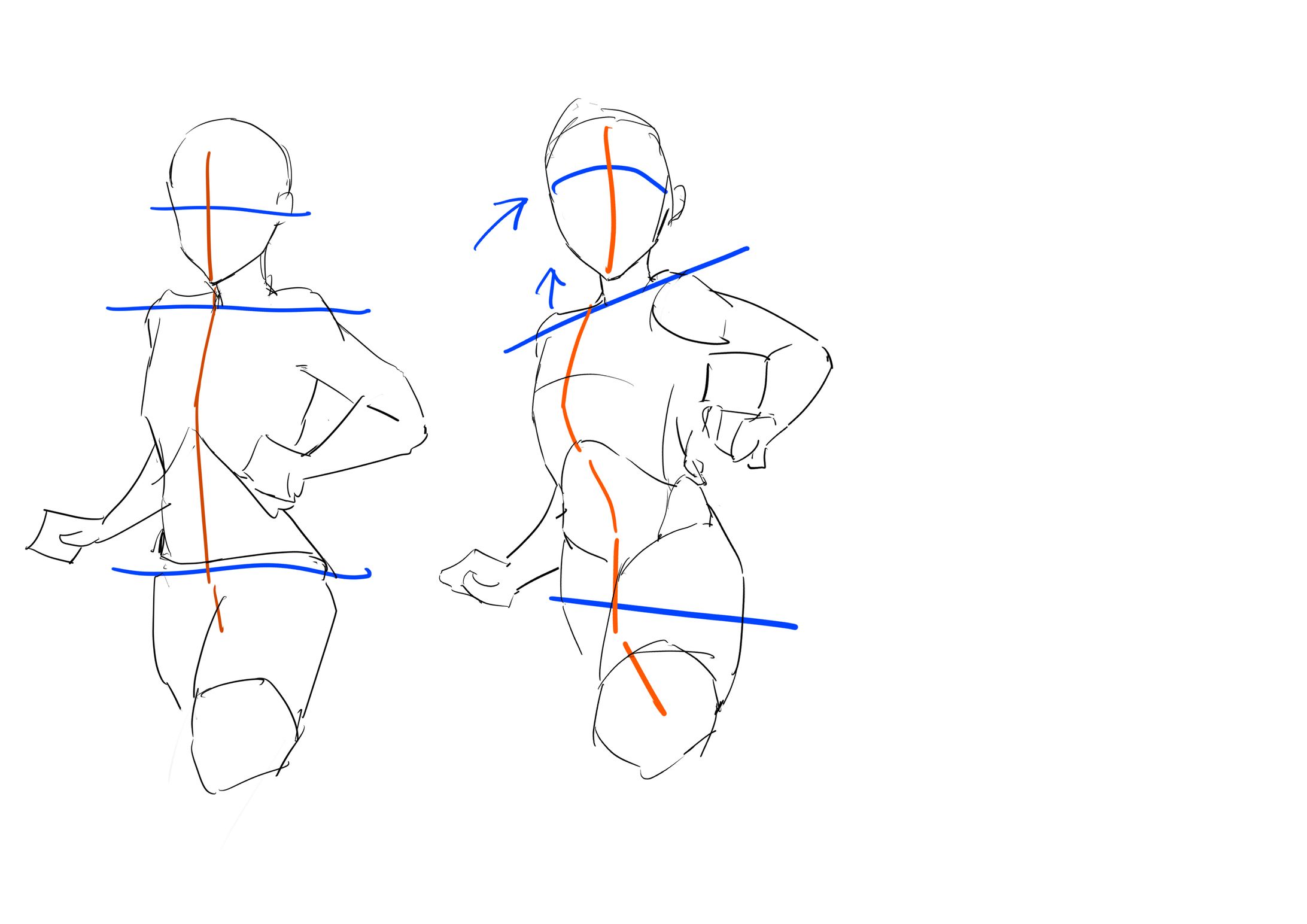美術解剖学 全身-1