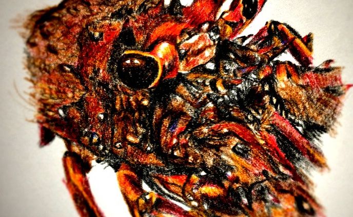 伊勢海老など。

#伊勢海老 #色鉛筆 #絵 #イラスト #イラストレーター #ペイント #ペインティング #ドローイング  #落書き #フォロー

#Lobster #pencildrawing #illust #illustration #illustrator #paint #painting #draw #art #artist #sketch #followme