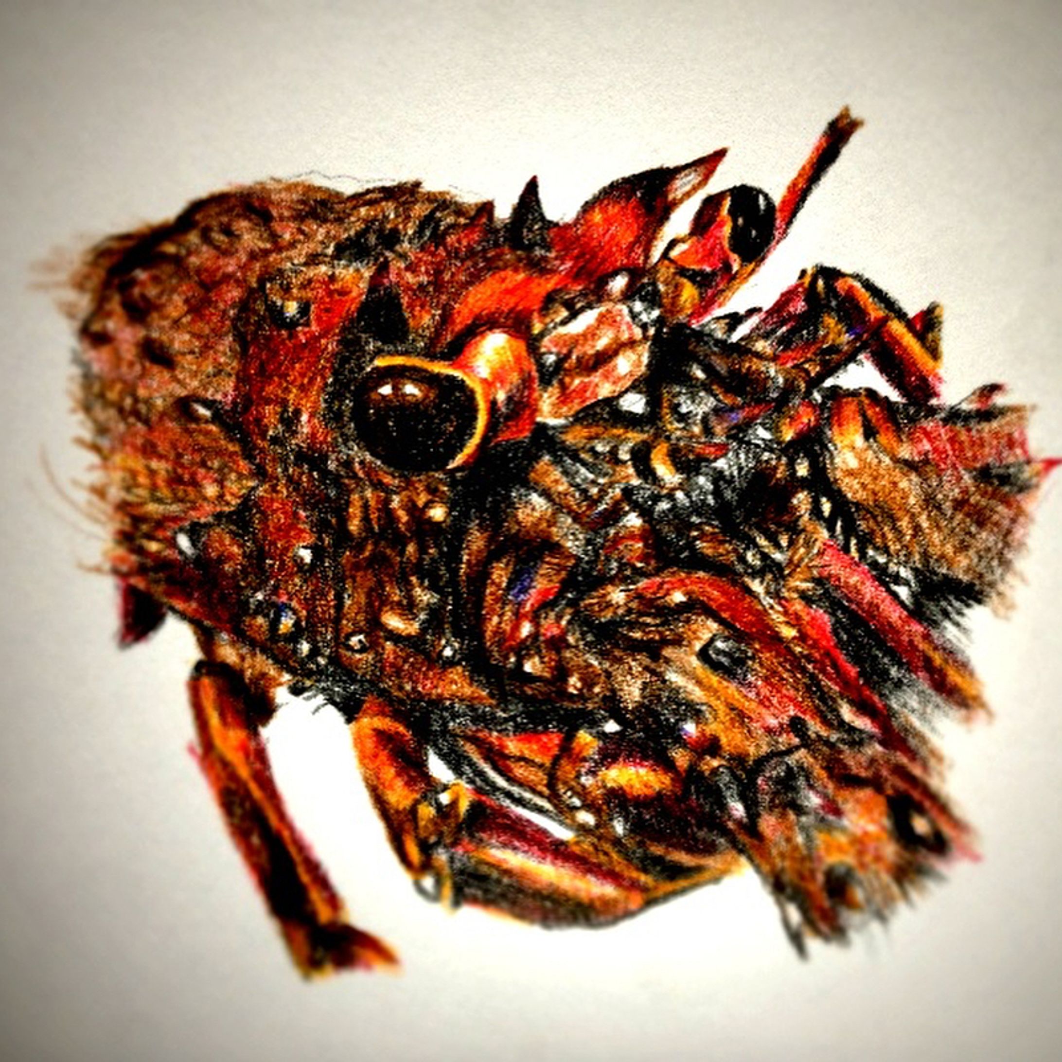 伊勢海老など。

#伊勢海老 #色鉛筆 #絵 #イラスト #イラストレーター #ペイント #ペインティング #ドローイング  #落書き #フォロー

#Lobster #pencildrawing #illust #illustration #illustrator #paint #painting #draw #art #artist #sketch #followme-1