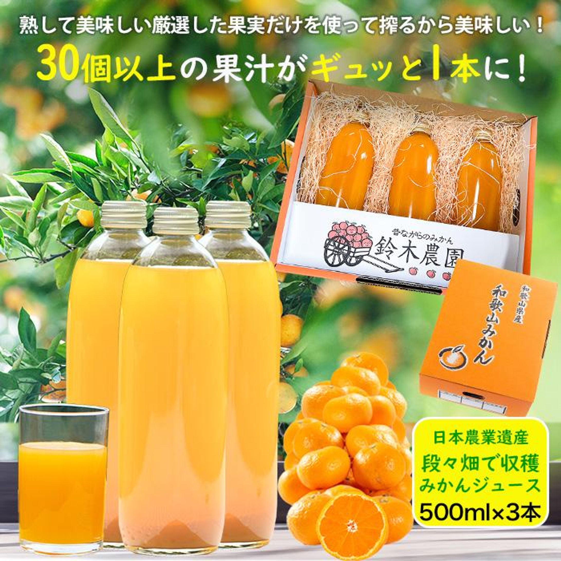 楽天市場（商品ページ制作）-1