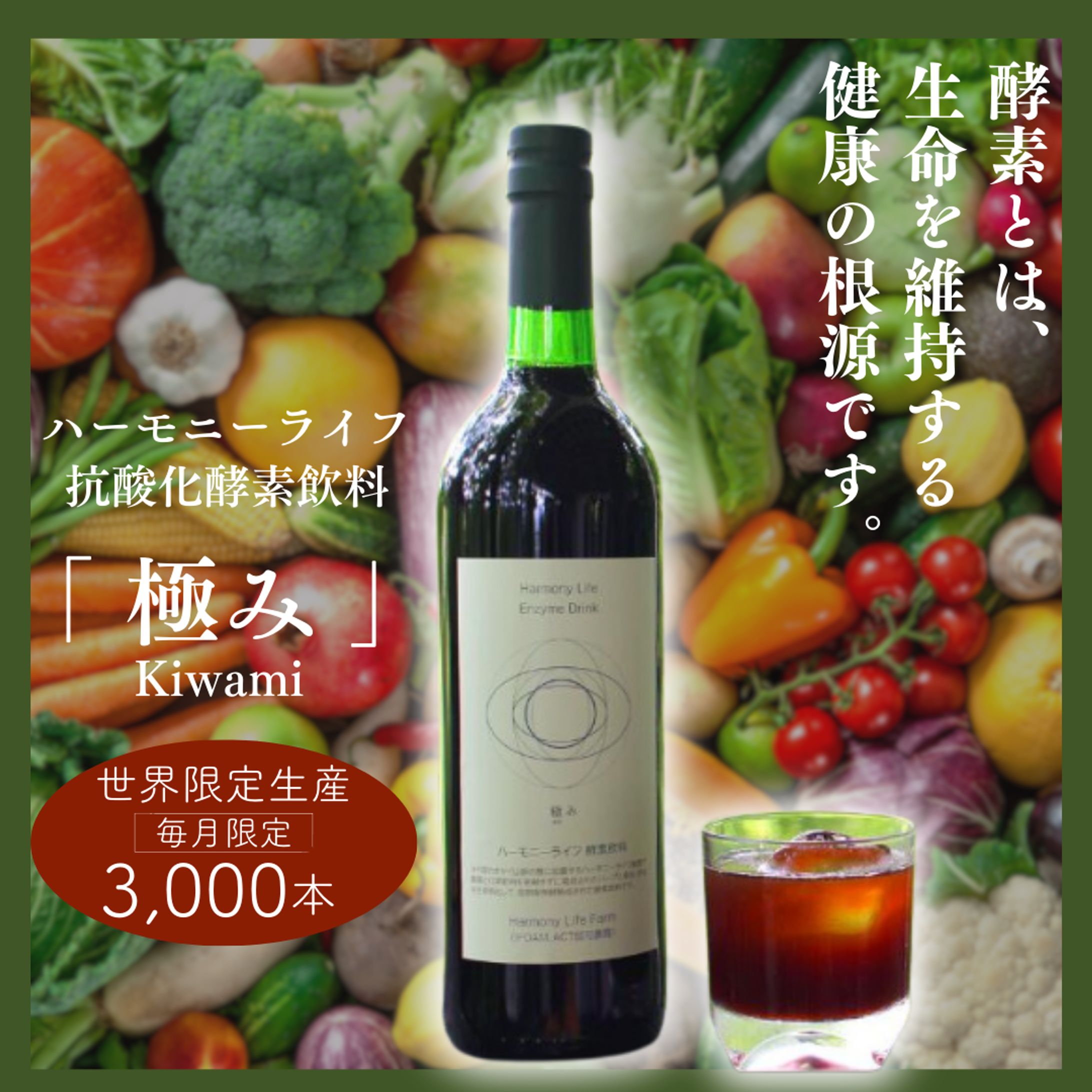 LP・ヘッダー画像-1