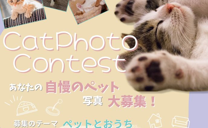  キャットフォトコンテスト