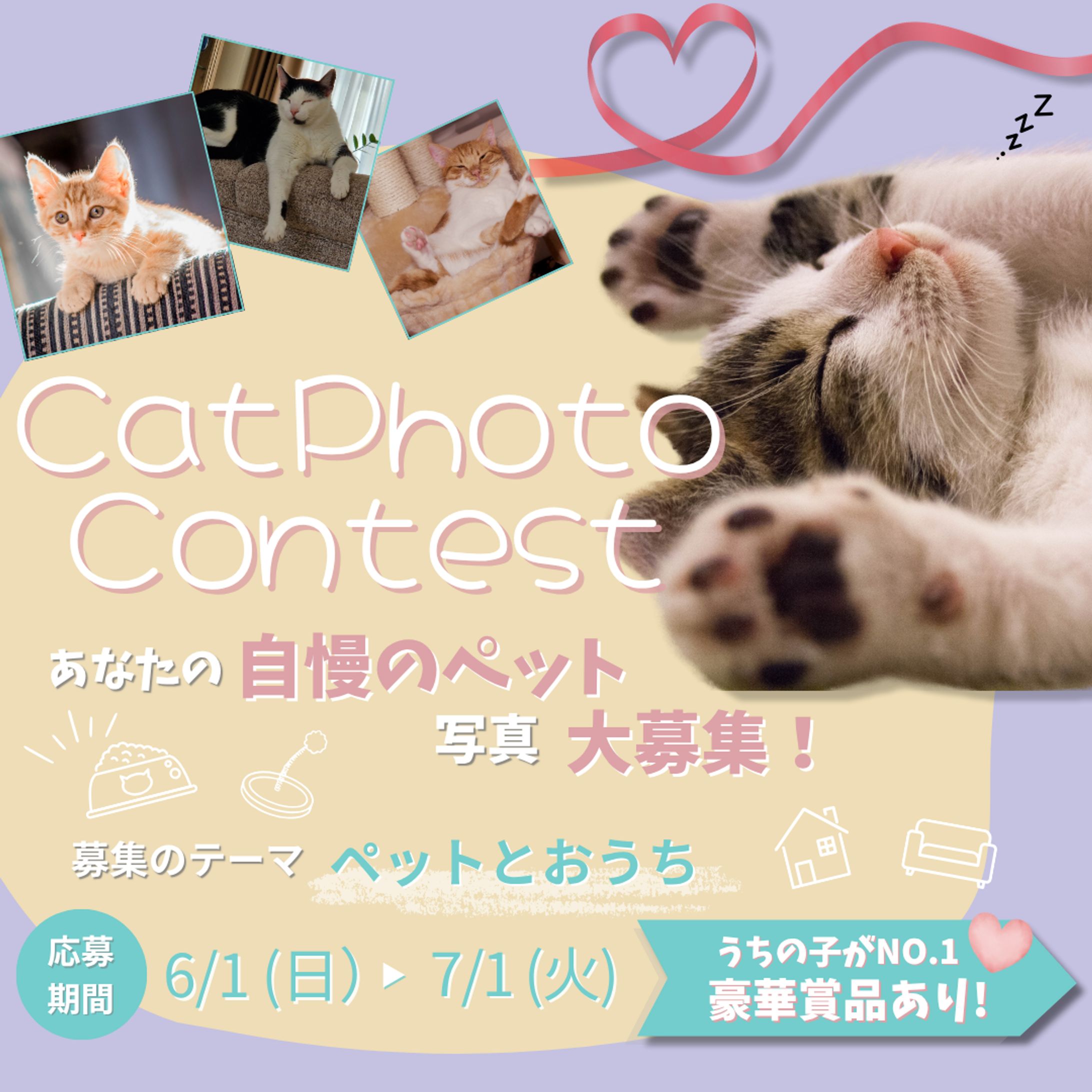  キャットフォトコンテスト-1