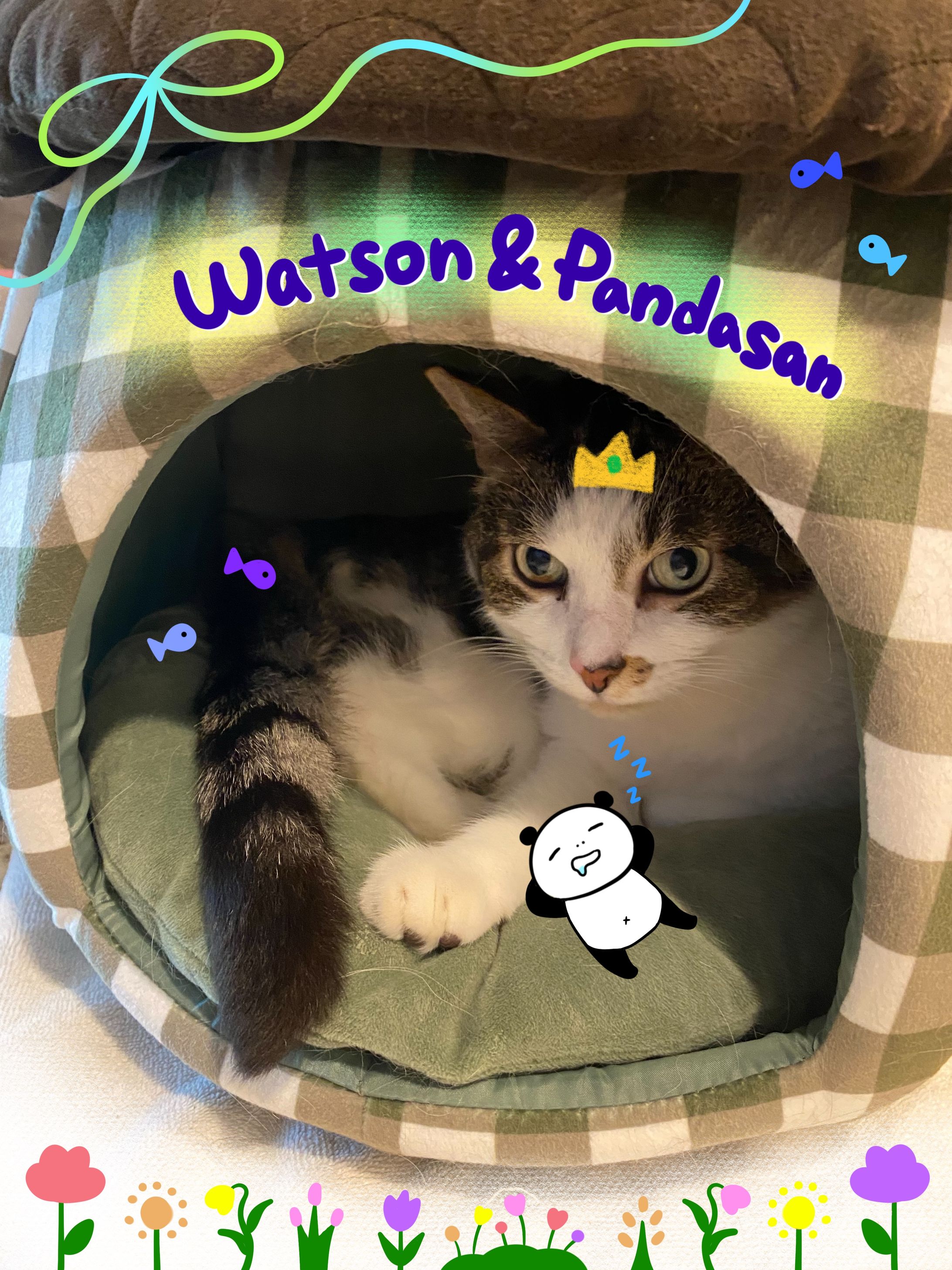 Watson&Pandasan-1