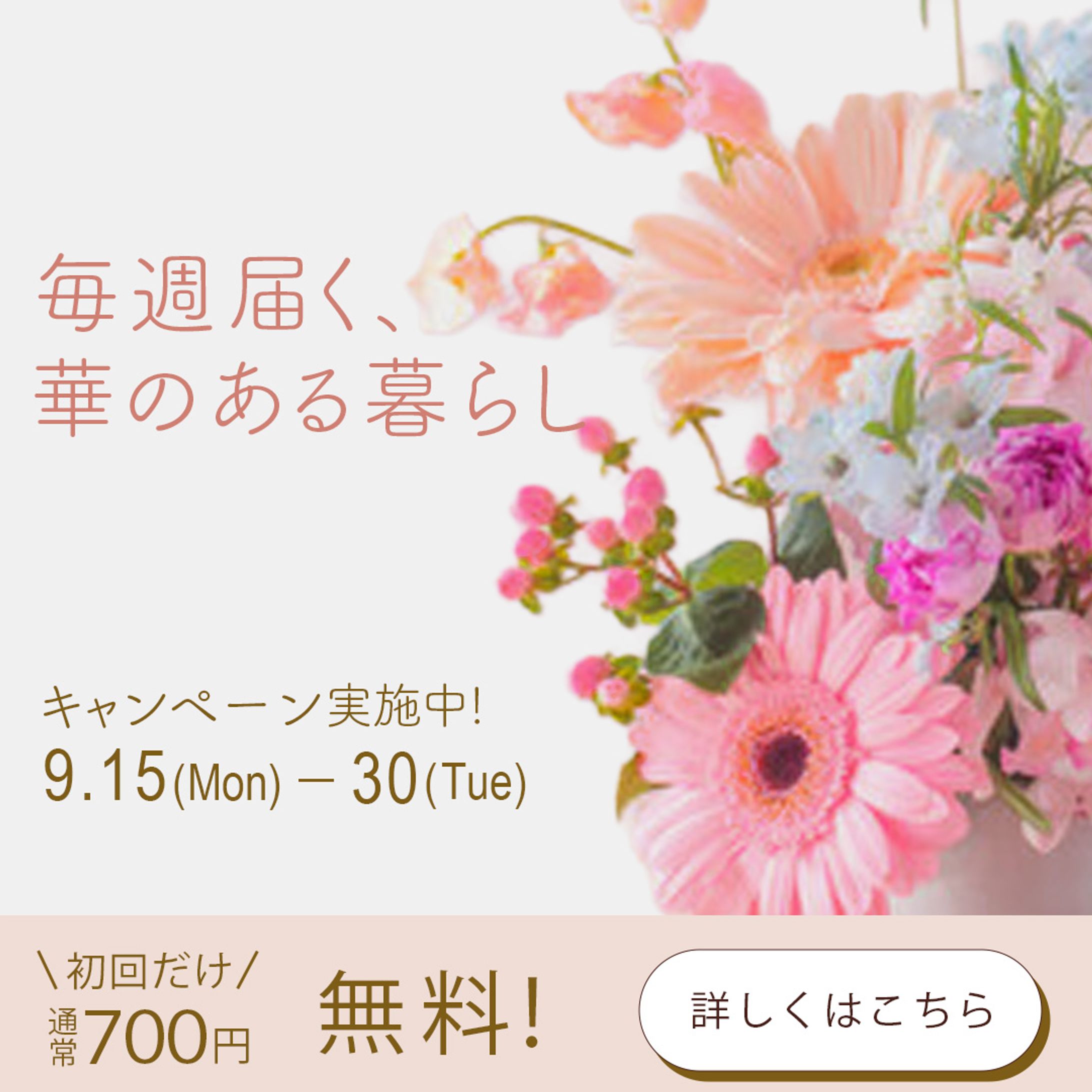 お花の定期便-1