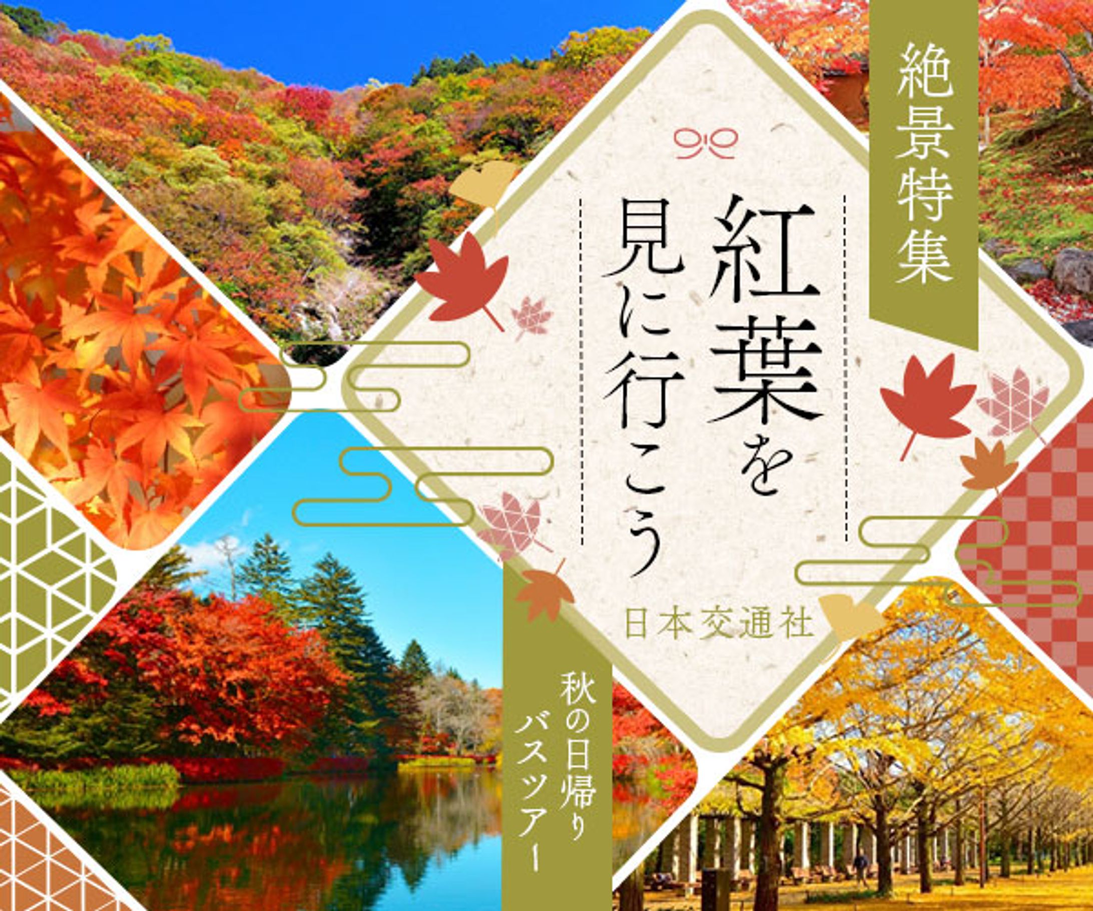 紅葉　バナー-1