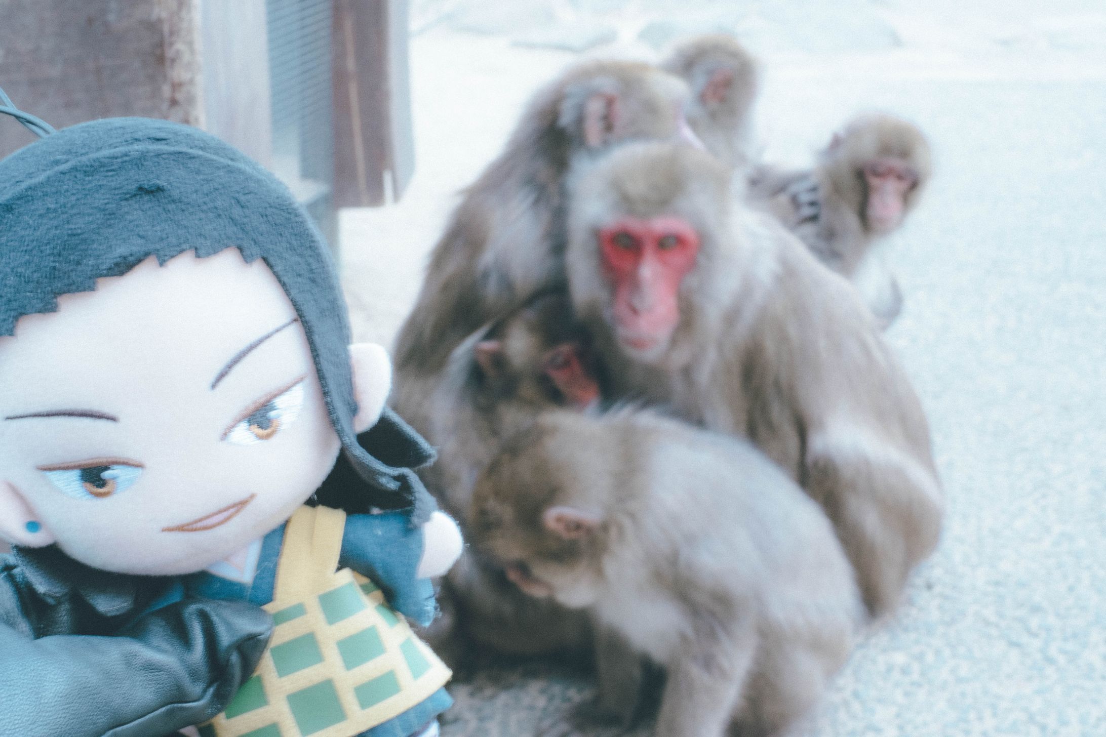 推し写ん歩-1