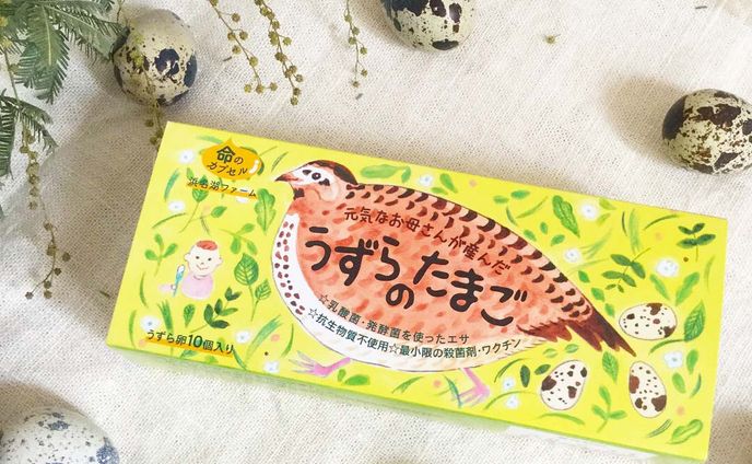 ecサイト、カルシトリオールカプセル
