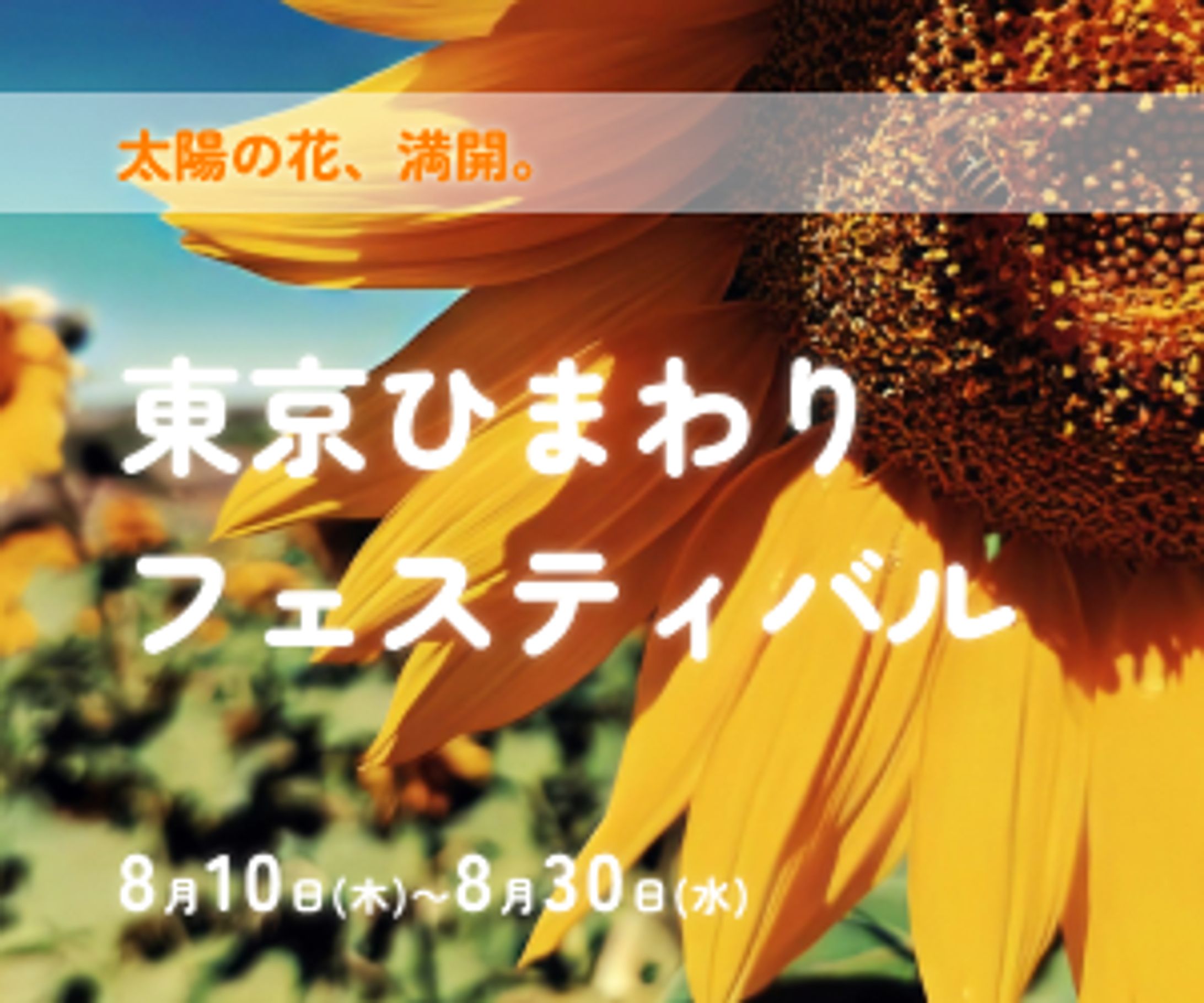 【課題作品】ひまわりフェスティバルバナー-1