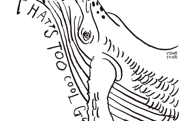 ✦イラスト、new zealand