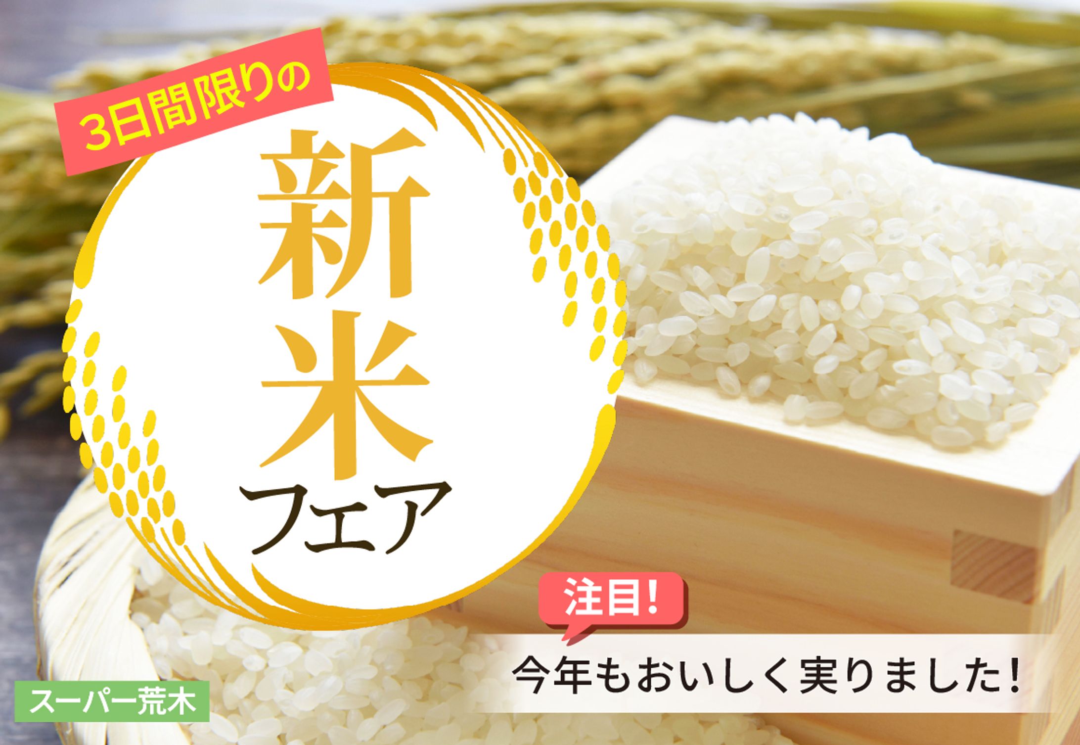 新米フェアバナー-1