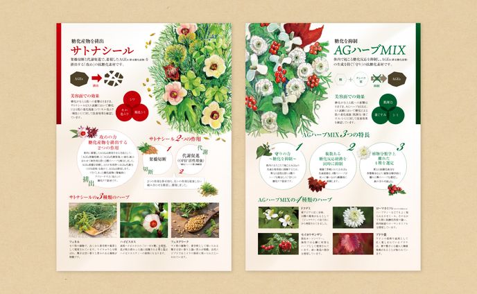 AGハーブMIX、サトナシール販促チラシ
