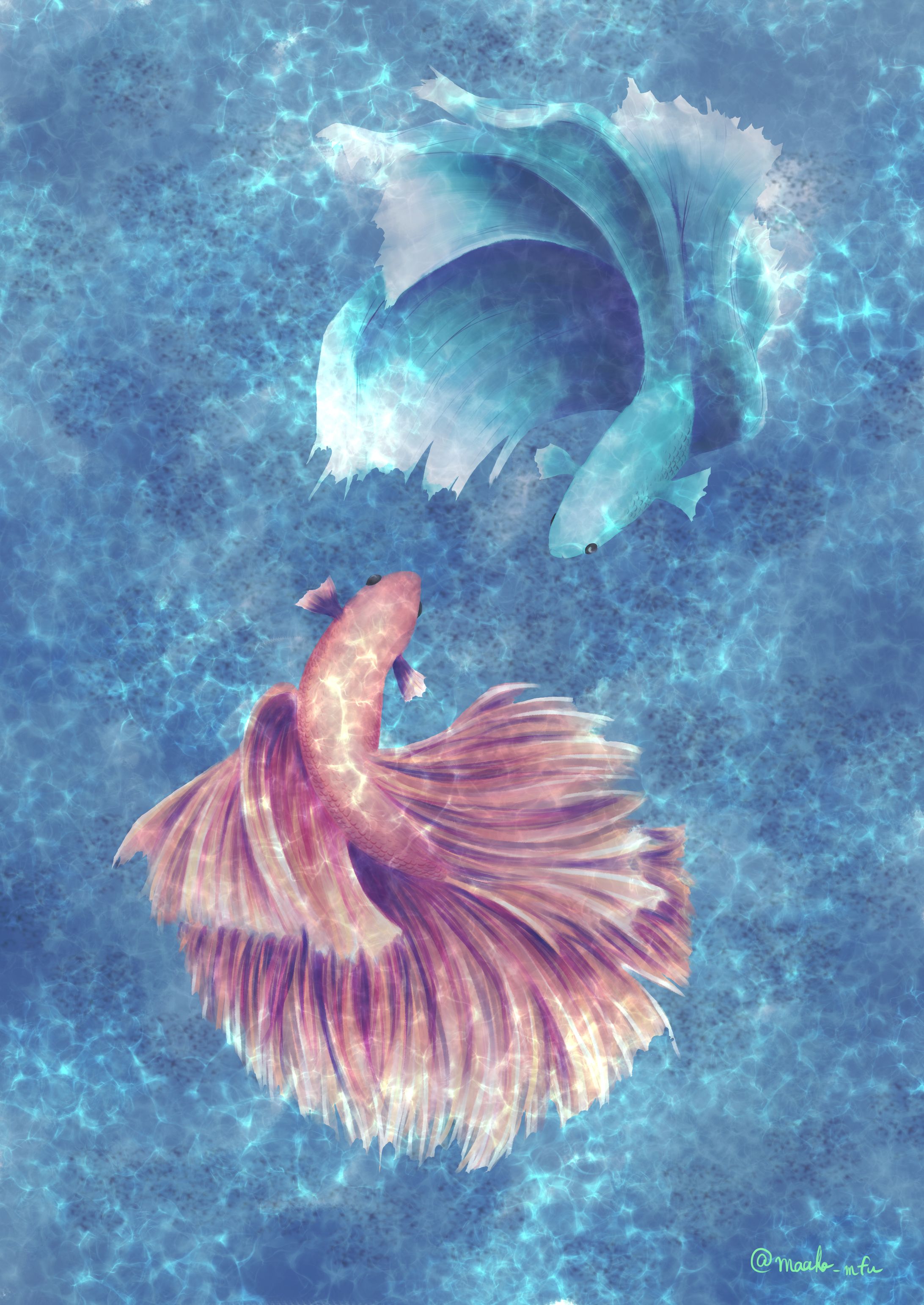 ベタ-1