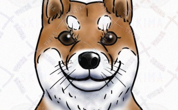 SKIMA（スキマ）