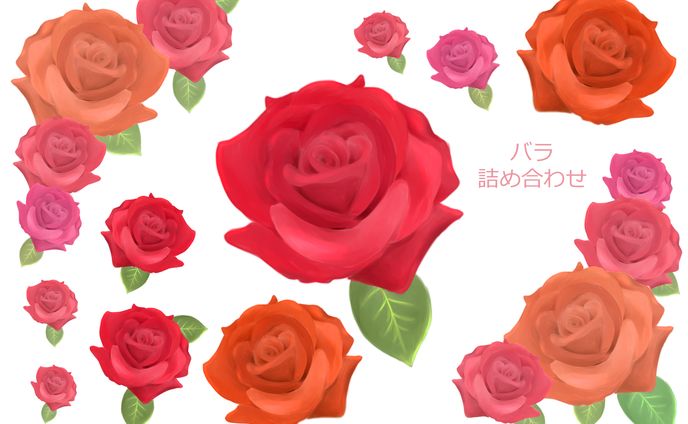 バラ