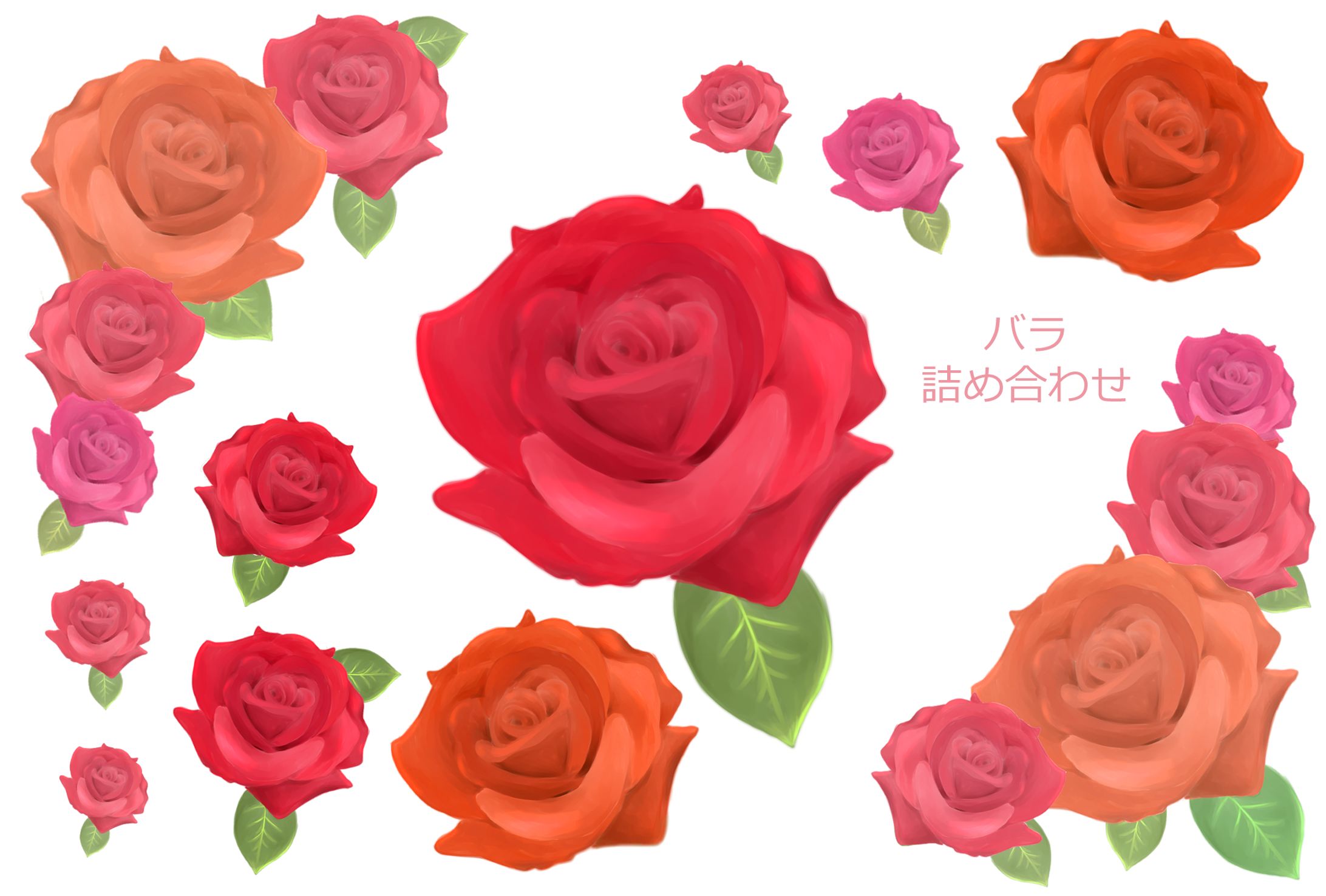 バラ-1