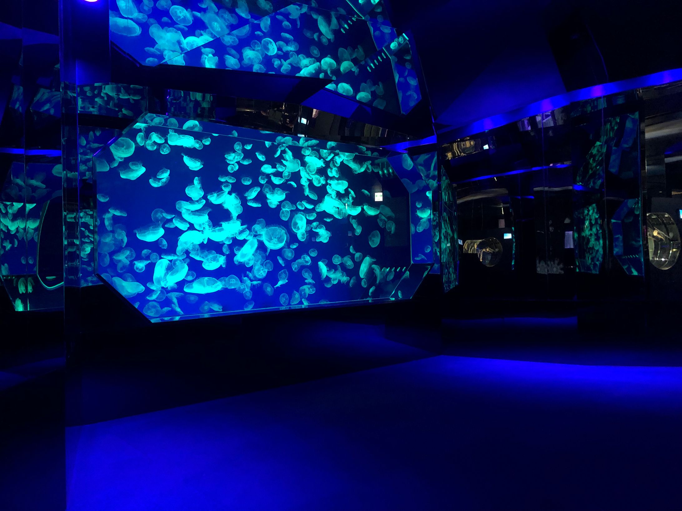 展示08-1