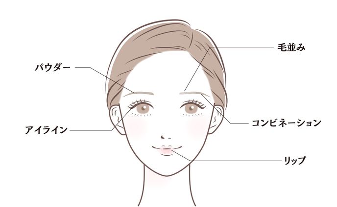 アートメイク図解