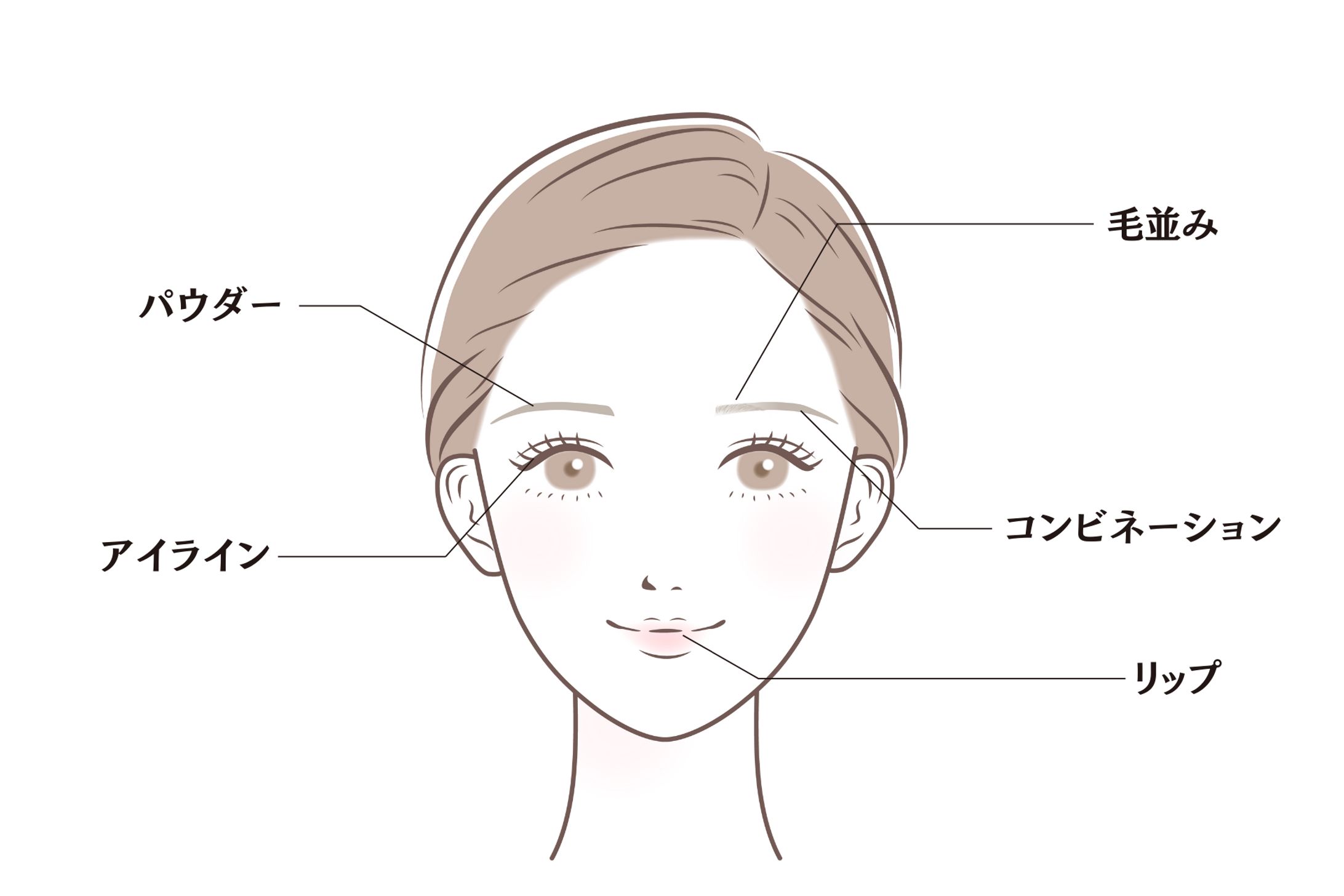 アートメイク図解-1