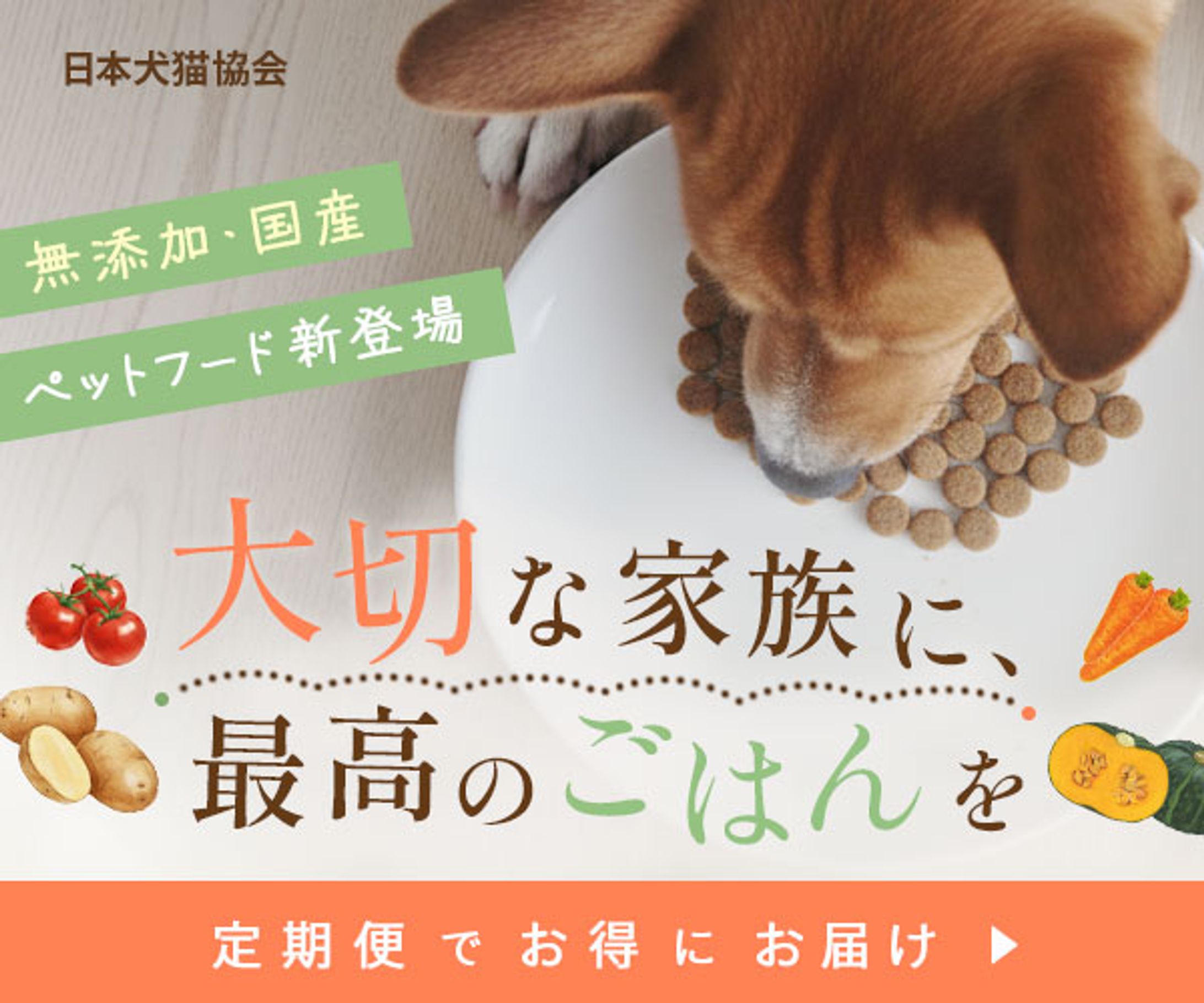 バナー：ドッグフード広告（架空）-1