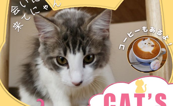 猫カフェバナー