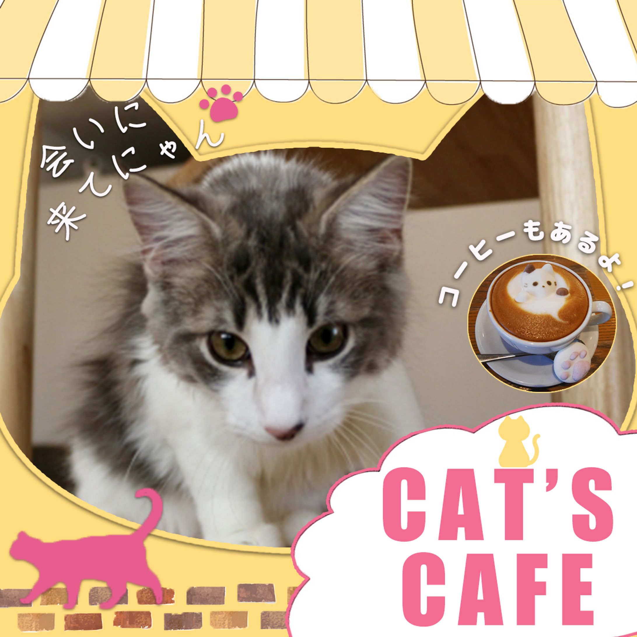 猫カフェバナー-1