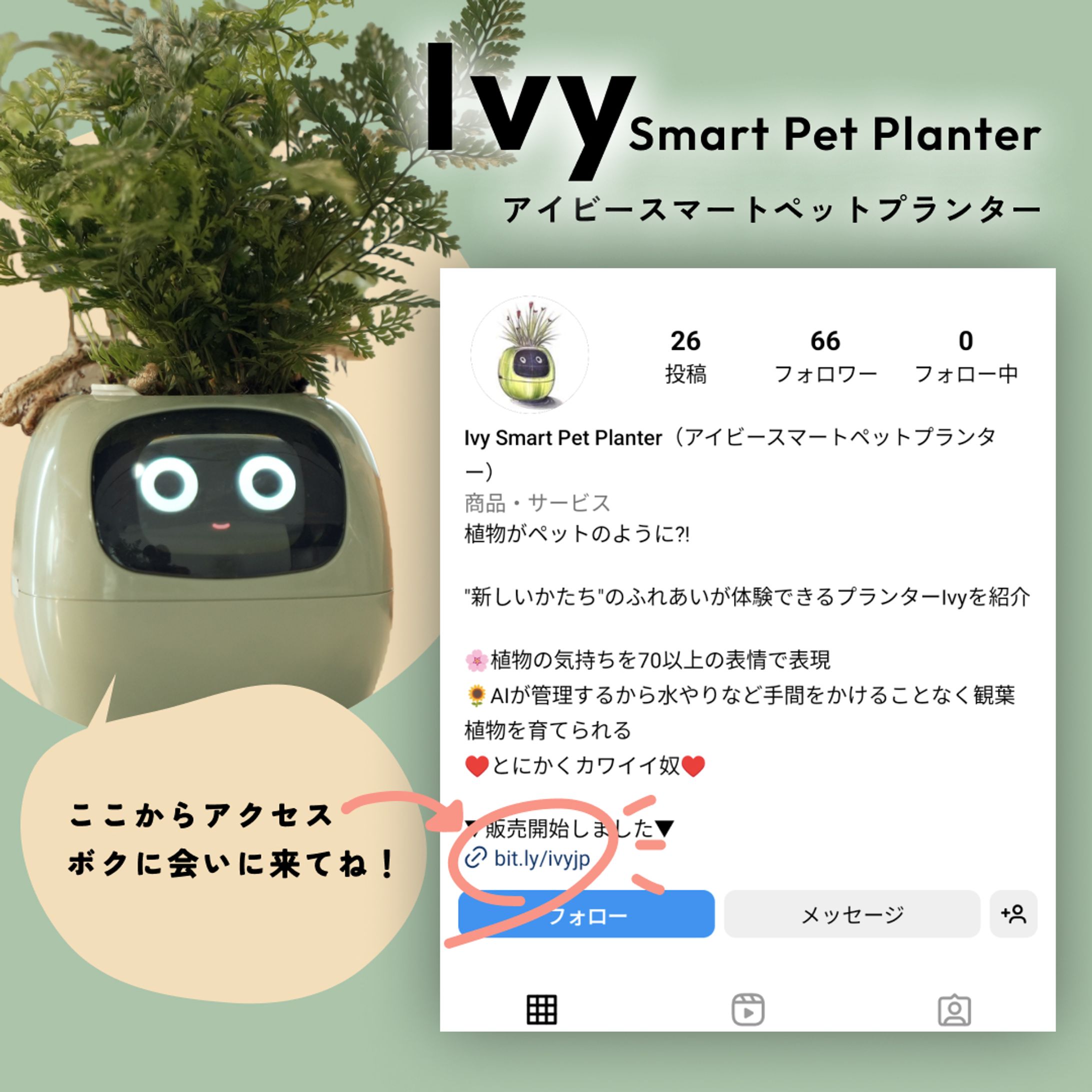 【制作実績】Instagram投稿からショップ誘導を目的とした画像制作-1