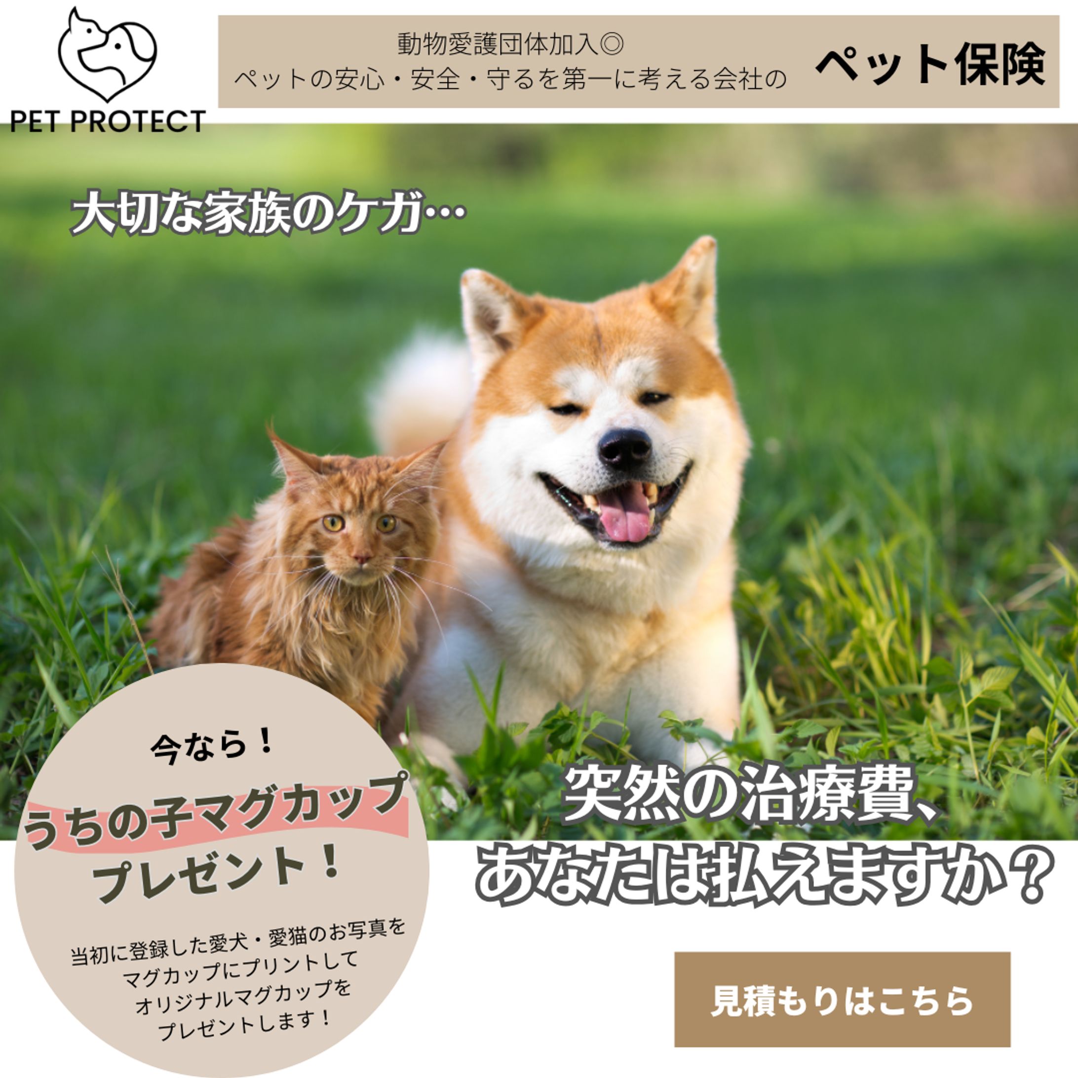 突然の治療費を払えますか？ペット保険-1