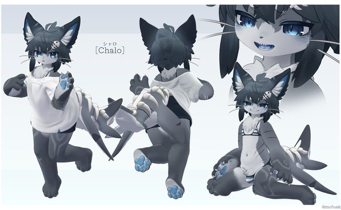 VRC向け販売3Dモデル「Chalo」