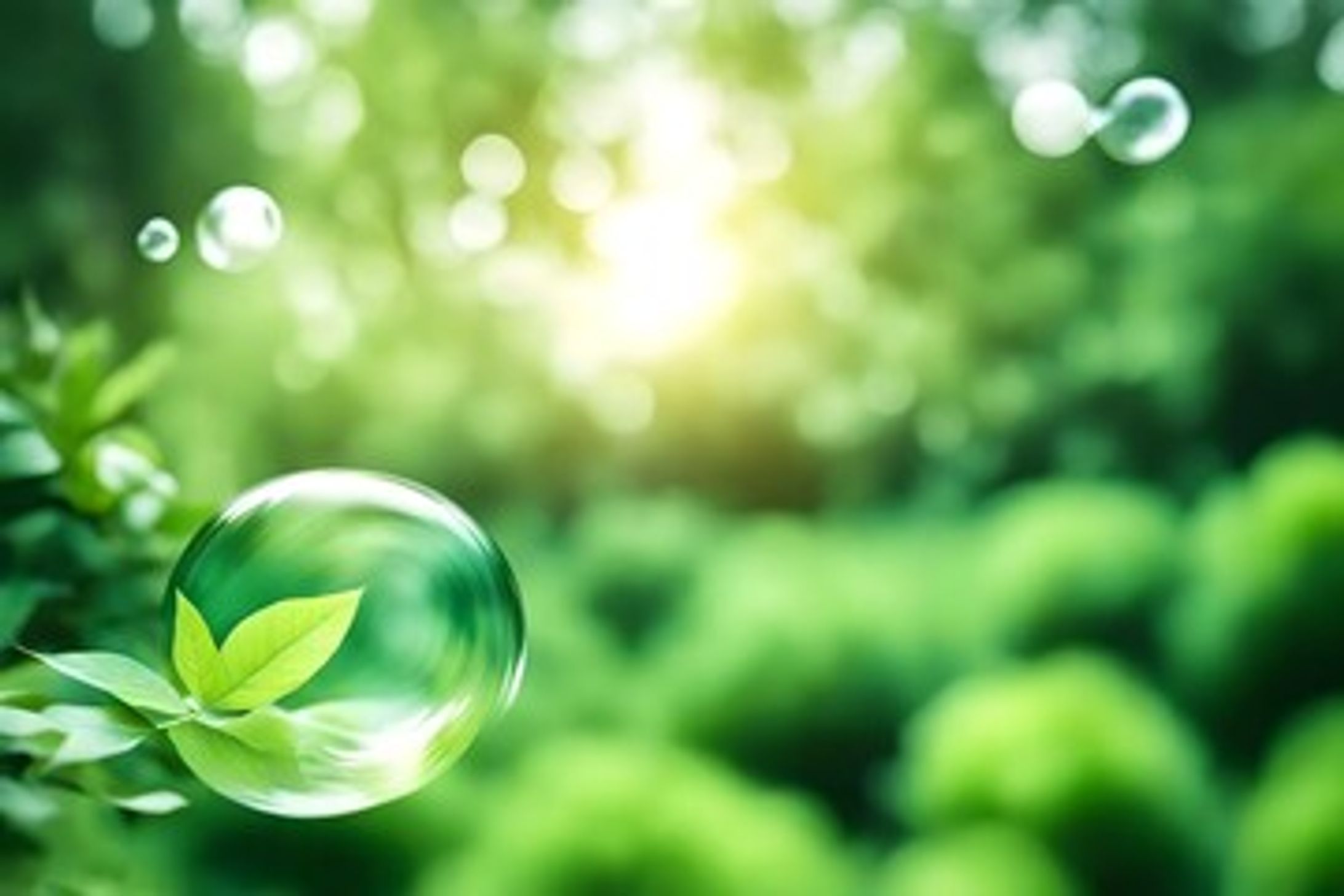 🌟ポートフォリオに背景-1