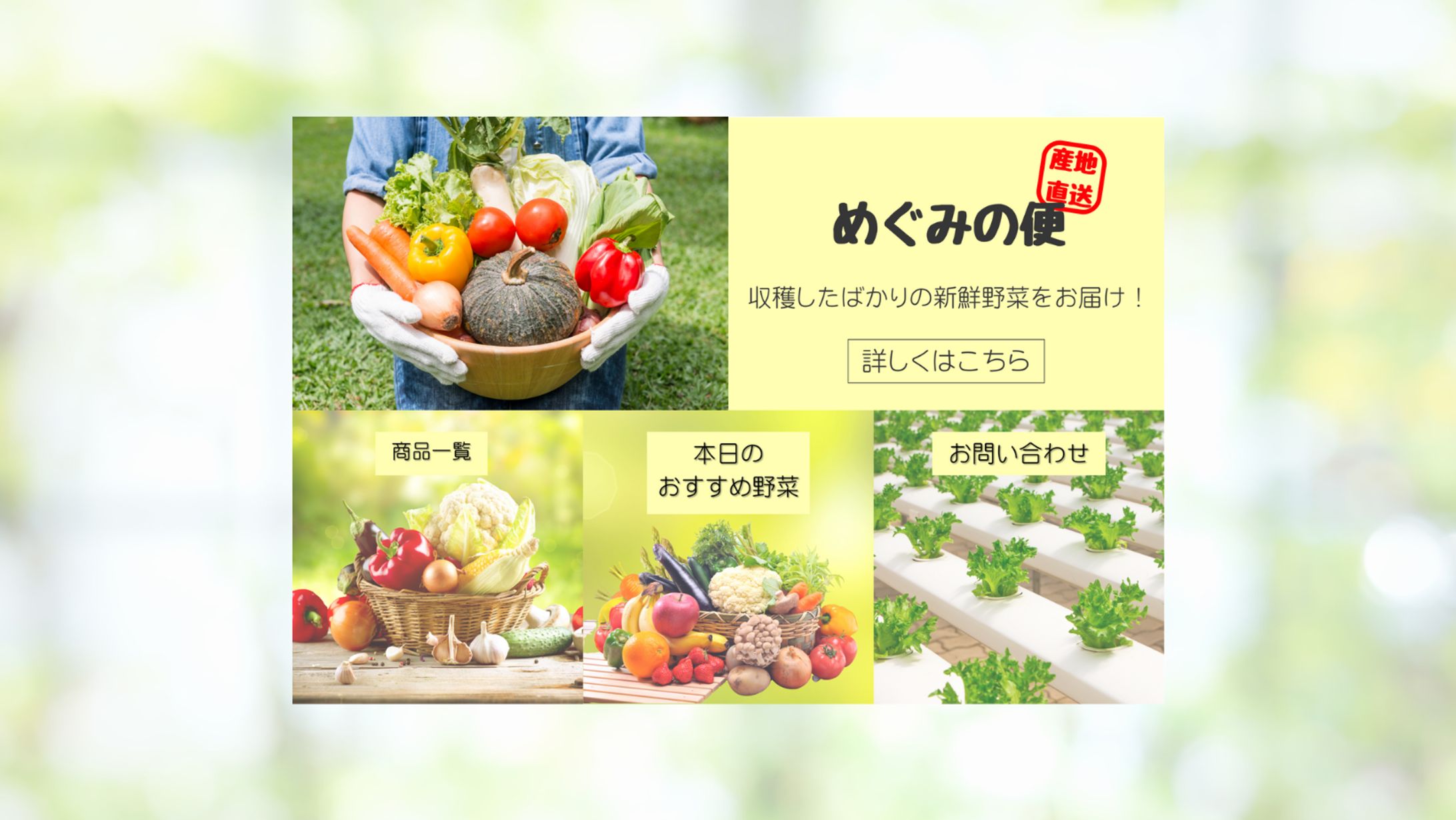 産地直送野菜の便ラインリッチメニュー-1