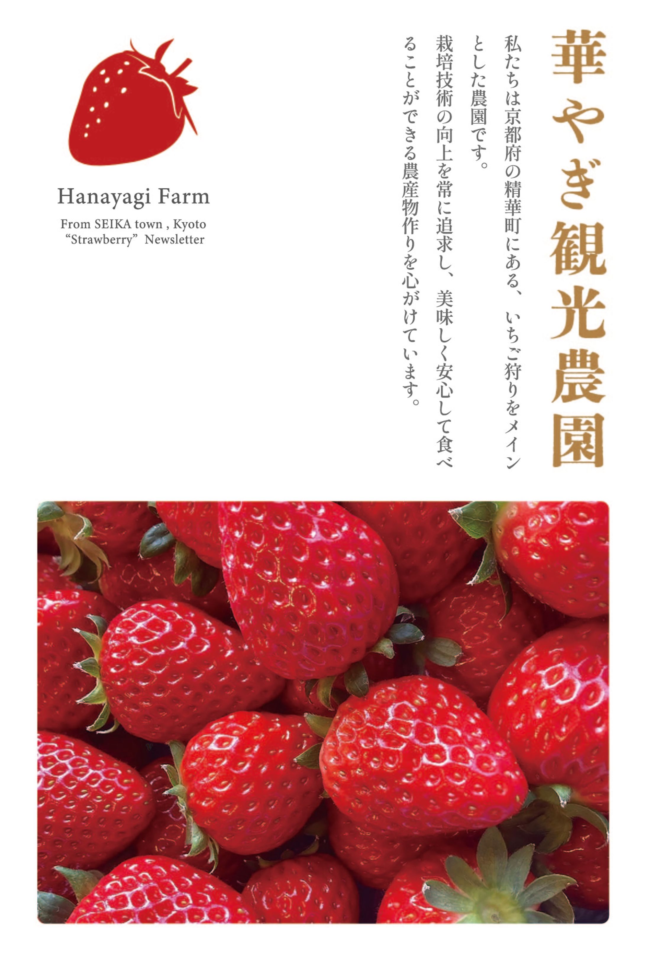flyer_100*148_hanayagifarm-1