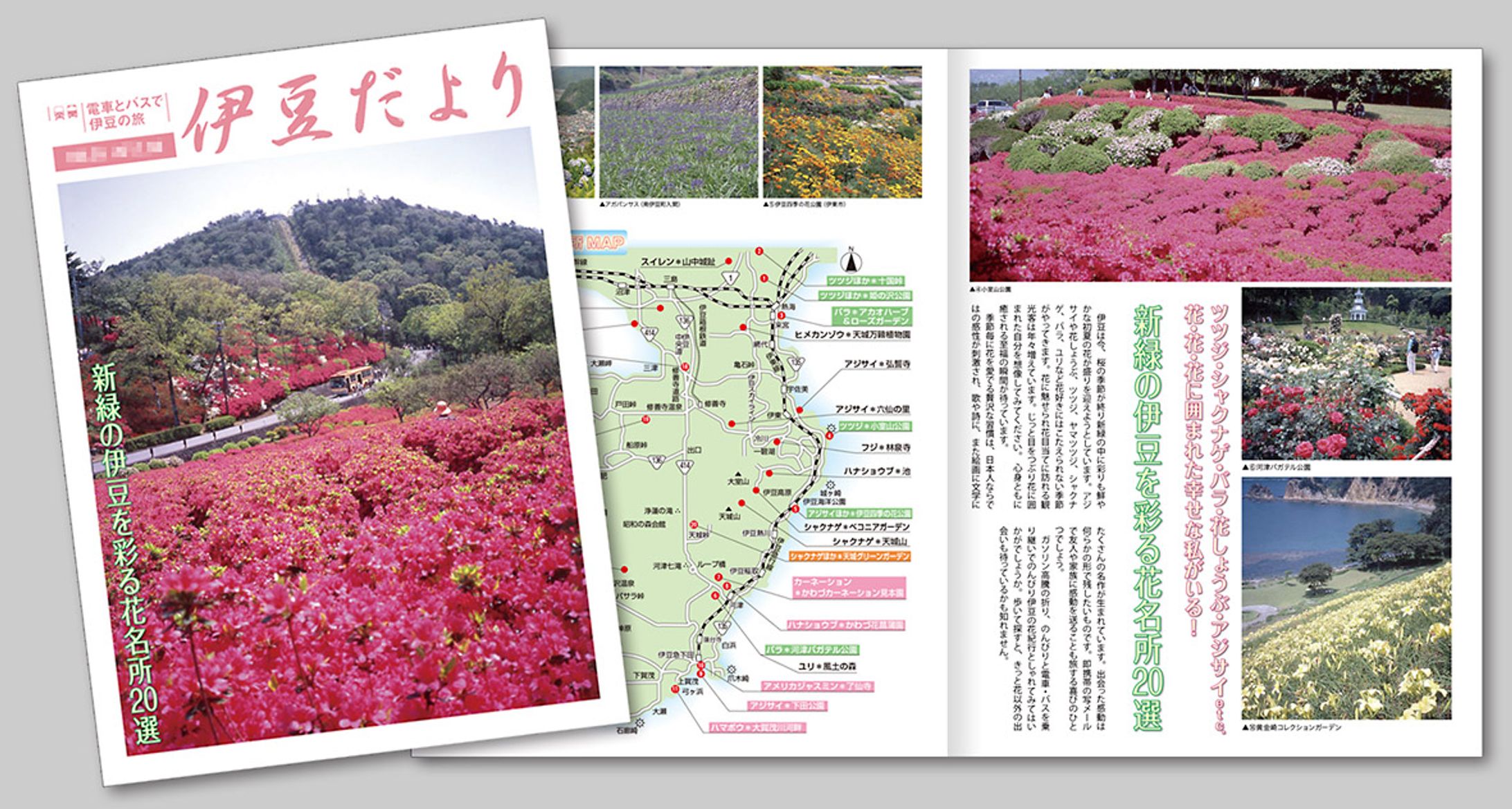 観光情報誌編集デザイン-1
